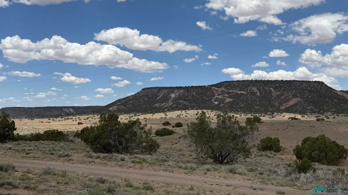 147 Largo Creek Rd, Quemado, NM 87829 - #1