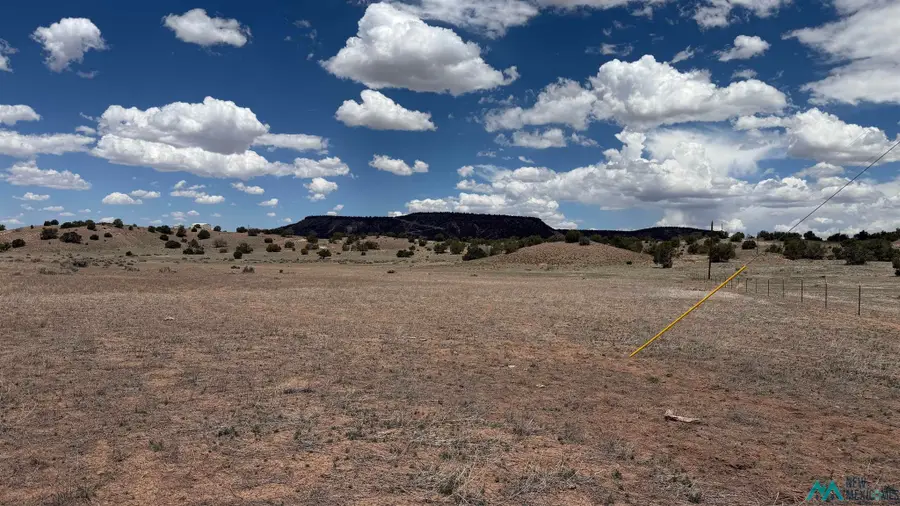 147 Largo Creek Rd, Quemado, NM 87829 - #2