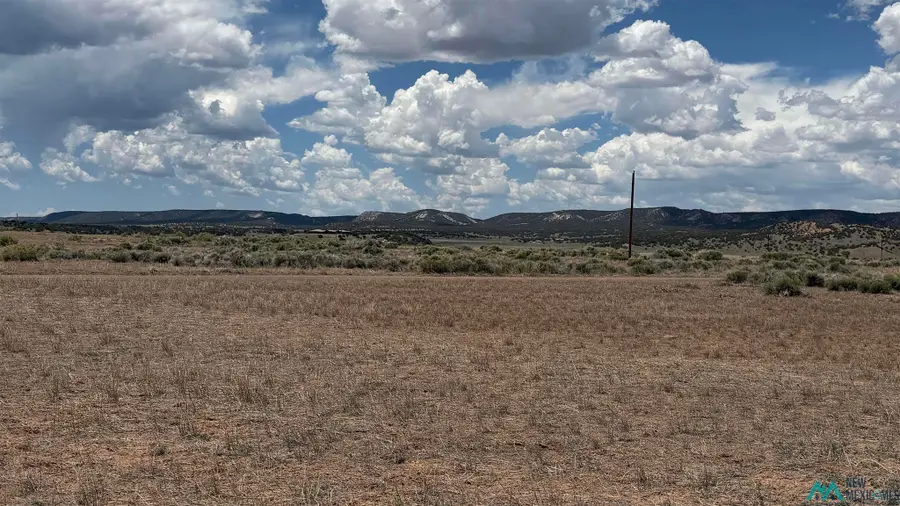147 Largo Creek Rd, Quemado, NM 87829 - #3
