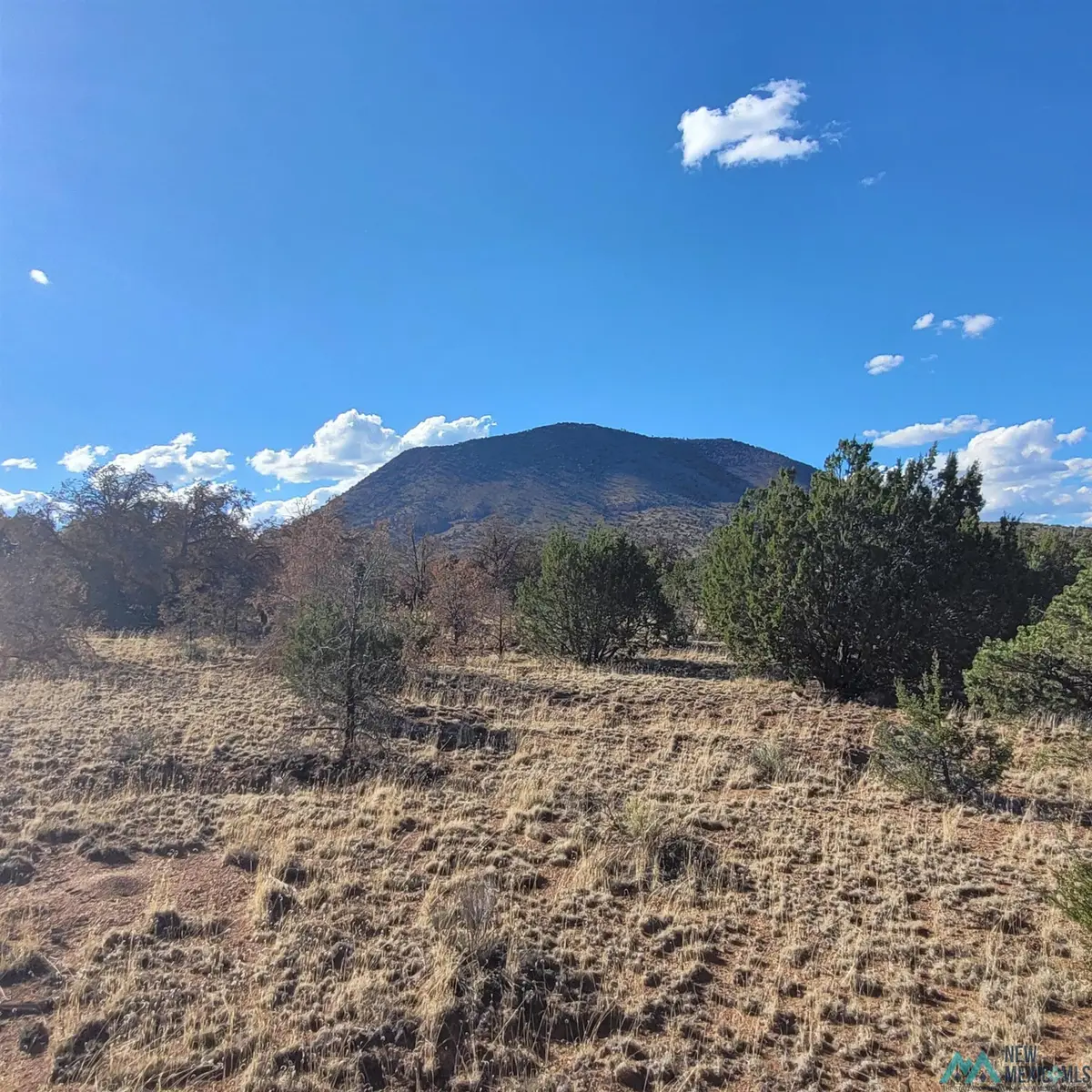 90 Canyon Dr, Datil, NM 87821-0000 - #1