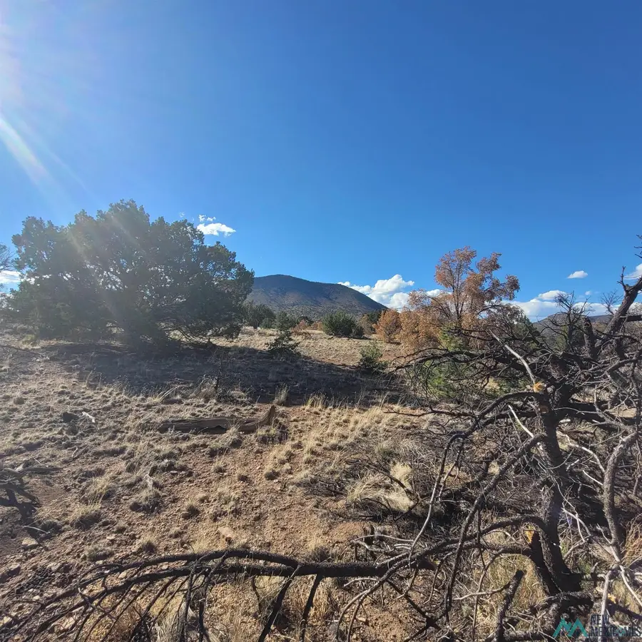 90 Canyon Dr, Datil, NM 87821-0000 - #3