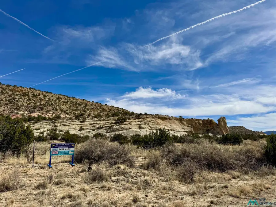 Highway 117, Grants, NM 87020 - #2