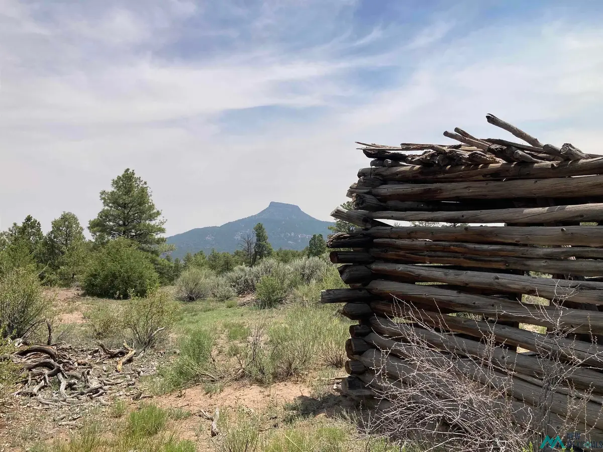 1 Forest Rd100 Rd, Youngsville, NM 87064 - #1