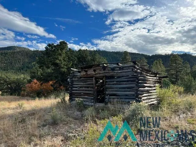 1 Forest Rd100 Rd, Youngsville, NM 87064 - #3