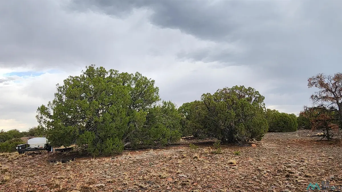 21 Wagon Circle, Quemado, NM 87829 - #1