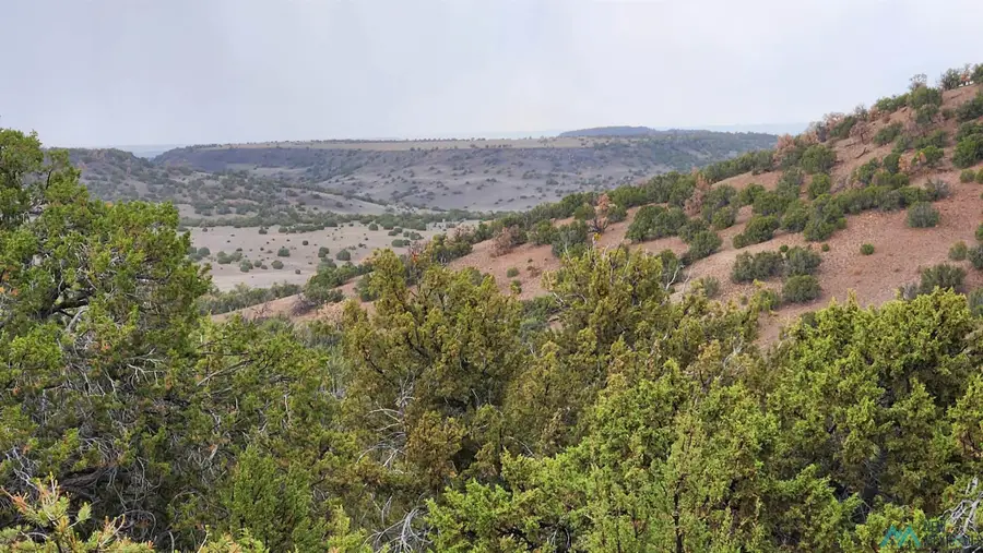 21 Wagon Circle, Quemado, NM 87829 - #2
