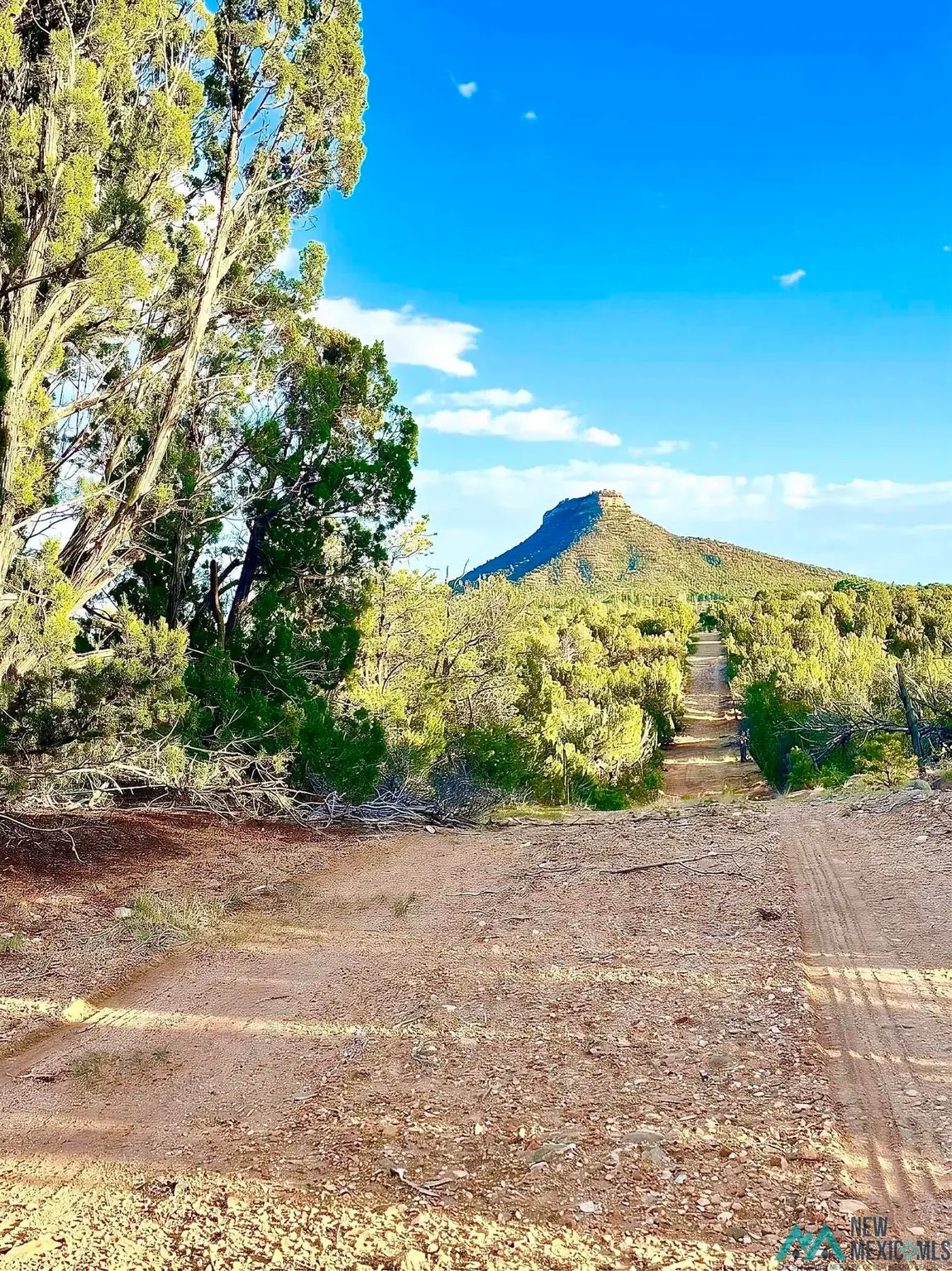 W Sena Ranch, Serafina, NM 87569 - #1