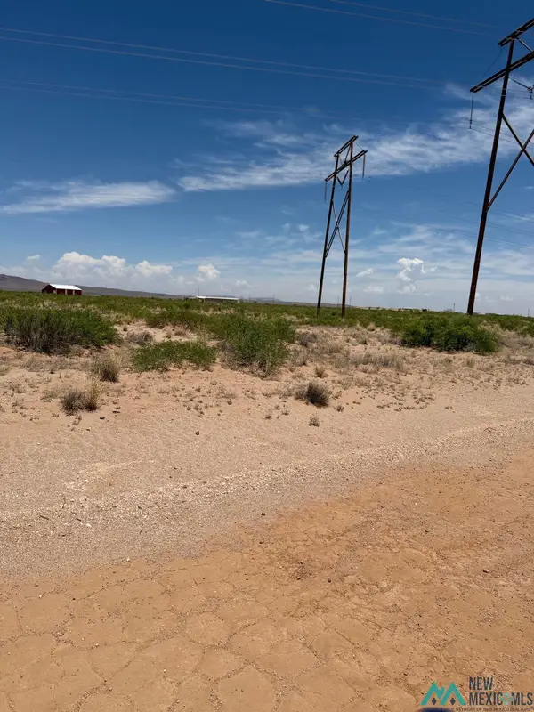 Kiowas, Deming, NM 88030-1824