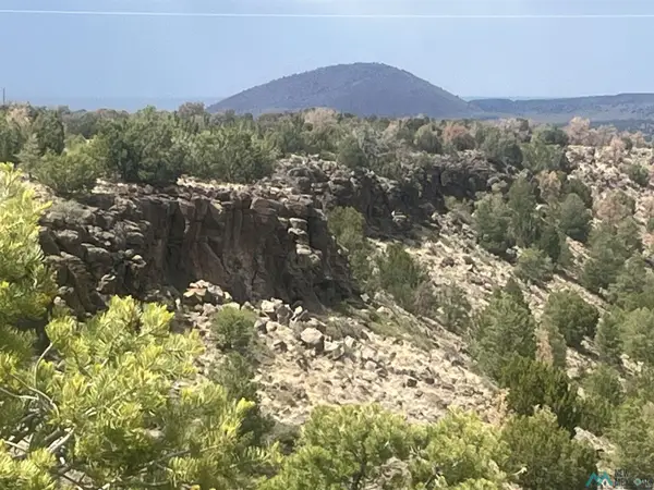 232 Cimarron Drive, Quemado, NM 87829