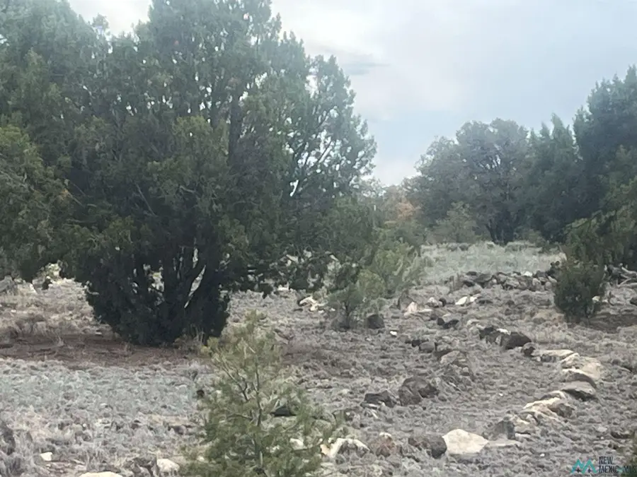 232 Cimarron Drive, Quemado, NM 87829 - #2