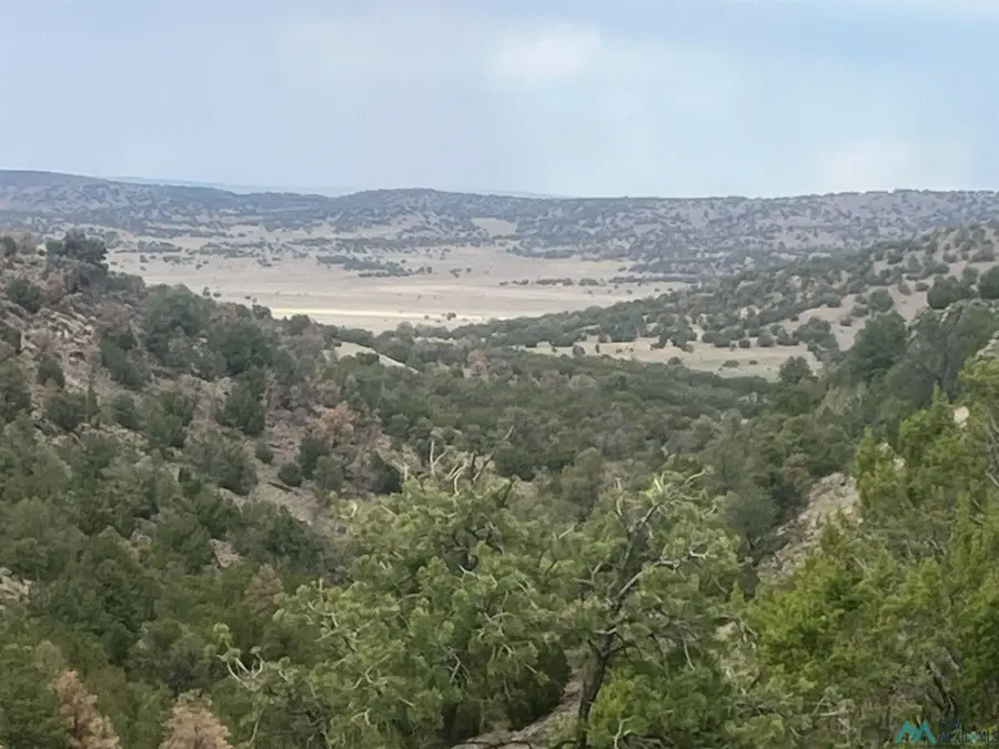 232 Cimarron Drive, Quemado, NM 87829 - #3