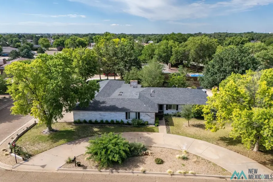 1921 Vivian Ave, Clovis, NM 88101 - #2