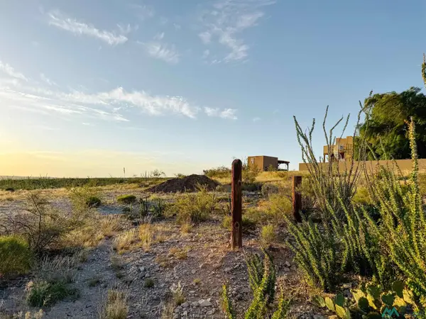 913 Miehls Dr, Carlsbad, NM 88220
