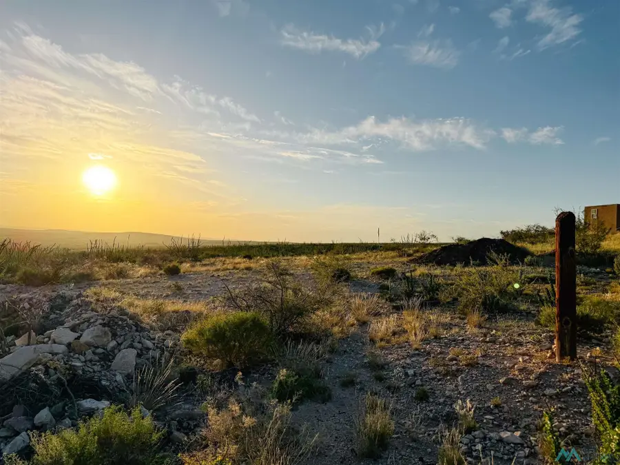 913 Miehls Dr, Carlsbad, NM 88220 - #2