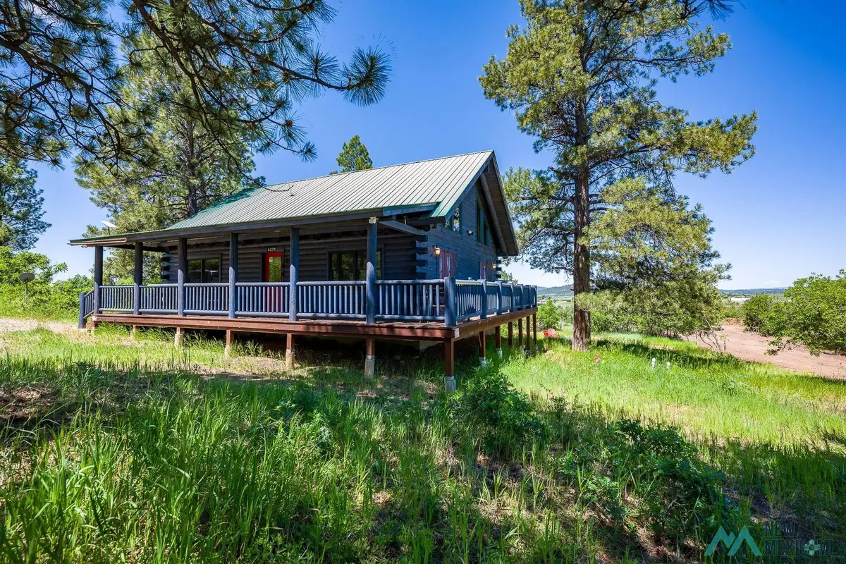4271 Chokecherry Dr, Chama, NM 87520 - #1