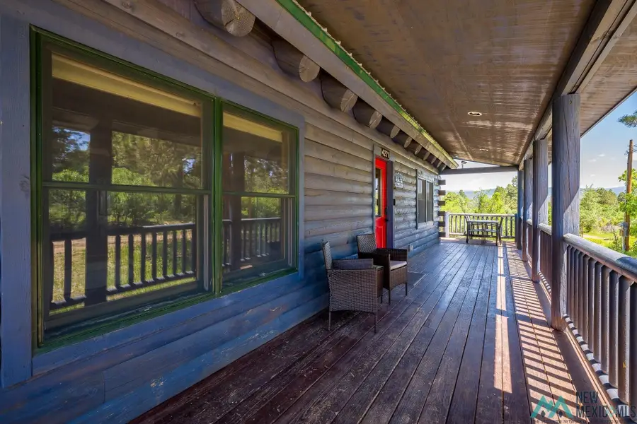 4271 Chokecherry Dr, Chama, NM 87520 - #3