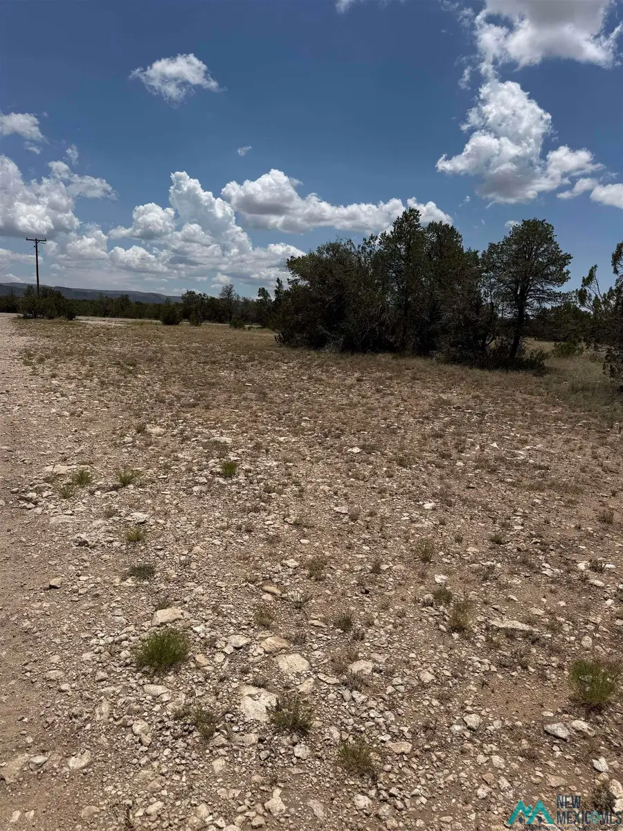 3724 Queens Hwy, Carlsbad, NM 88220 - #2