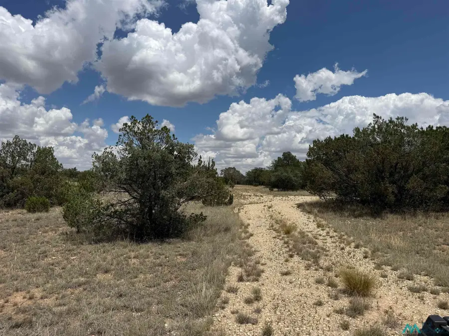 3724 Queens Hwy, Carlsbad, NM 88220 - #3