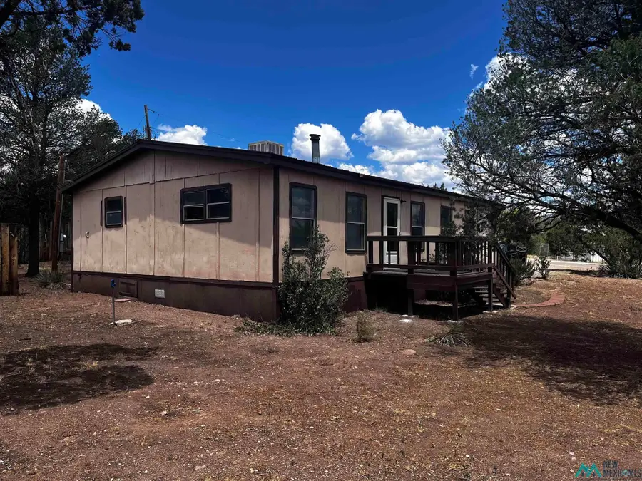 8 Forest, Reserve, NM 87830 - #3