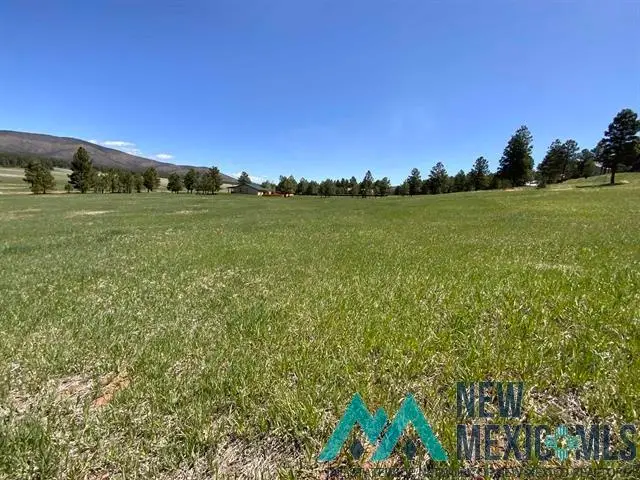 94 Cumbre, Rociada, NM 87742 - #3