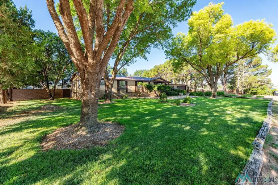 15 Jill St, Clovis, NM 88101 - #3