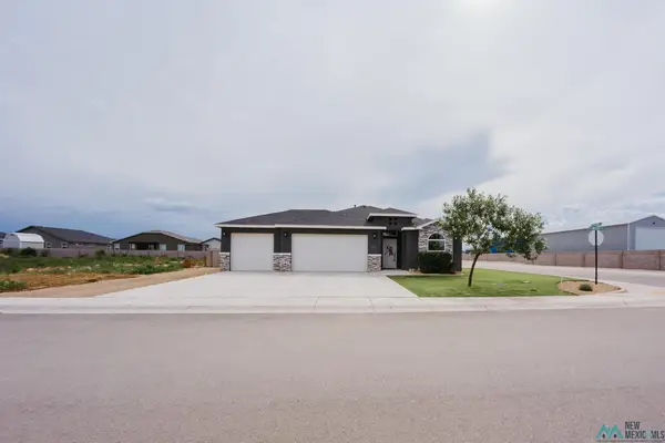 3711 S Sunnyview Ave, Carlsbad, NM 88220