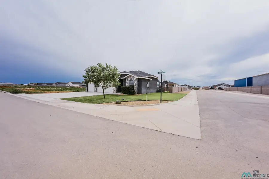 3711 S Sunnyview Ave, Carlsbad, NM 88220 - #3