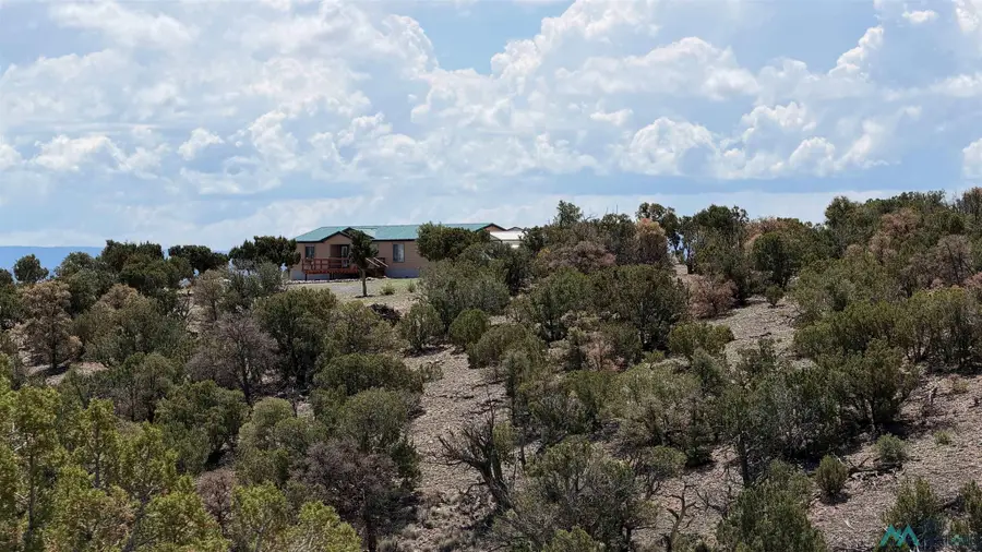 413 Cimarron Drive, Quemado, NM 87829 - #3