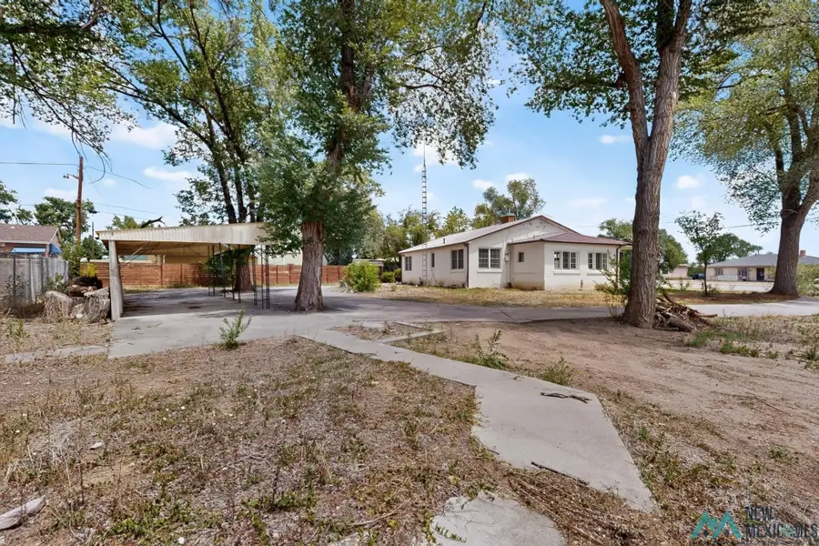 1617 7th St, Las Vegas, NM 87701 - #3
