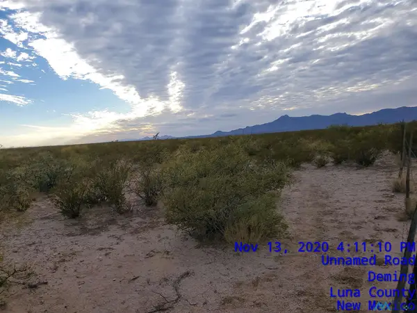 SW Lucca, Deming, NM 88030-3717
