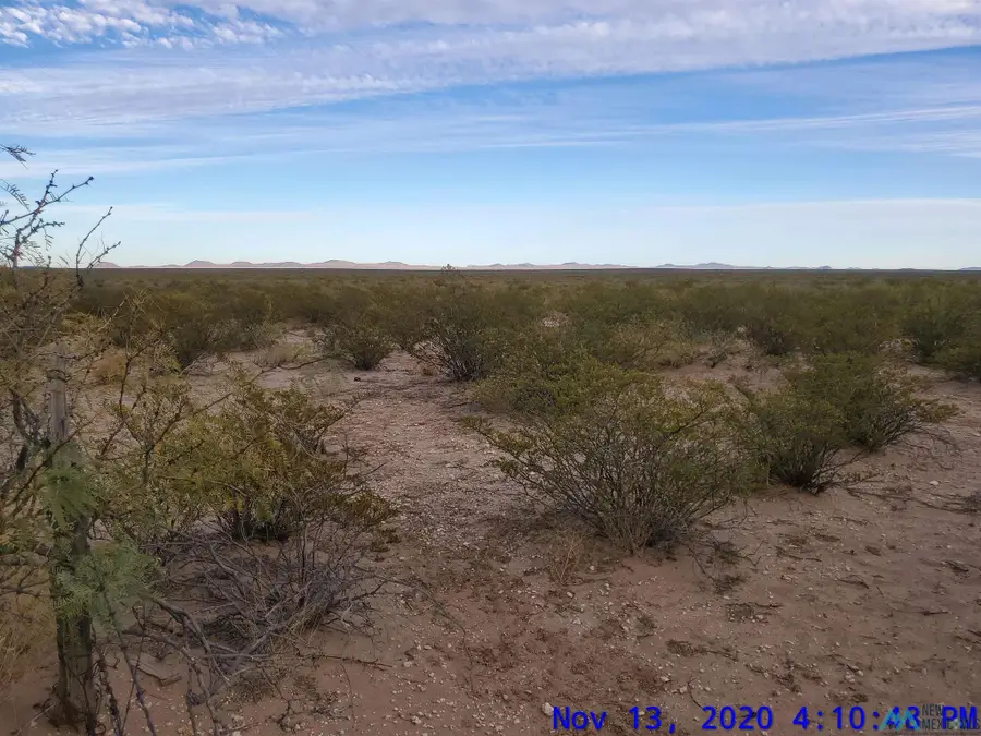 SW Lucca, Deming, NM 88030-3717 - #3