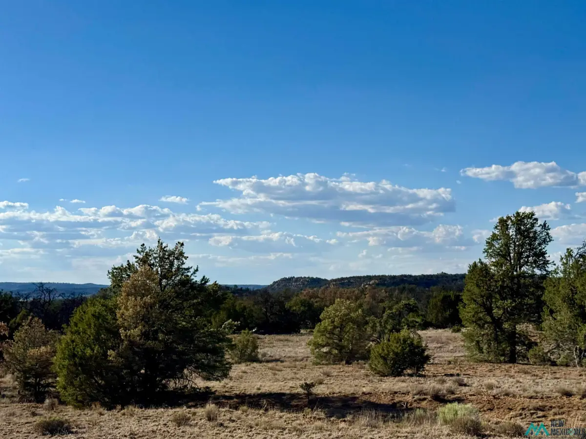 Wilderness, Zuni Ramah Navajo, NM 87321 - #1