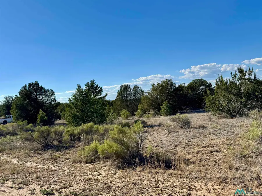 Five Gate, Candy Kitchen, NM 87321 - #2