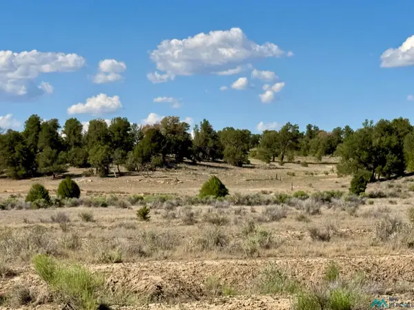 Five Gate, , NM 87321