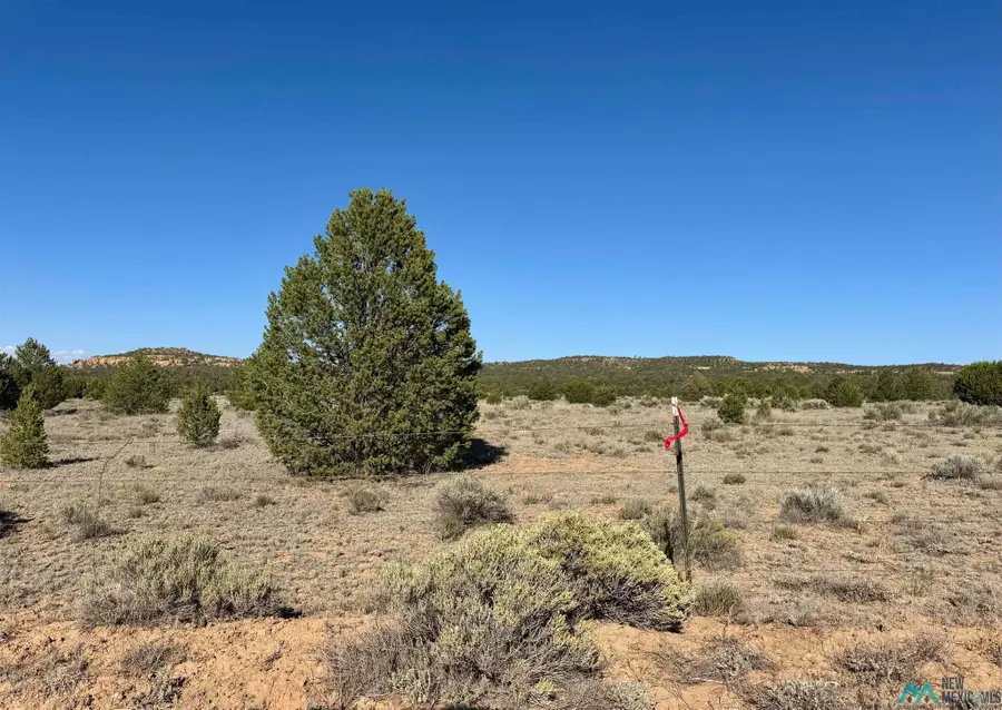 Five Gate, Zuni Ramah Navajo, NM 87321 - #2