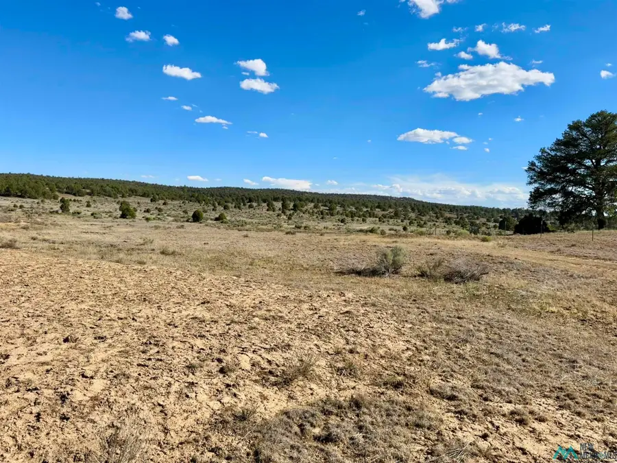 Pintos, Candy Kitchen, NM 87321 - #2