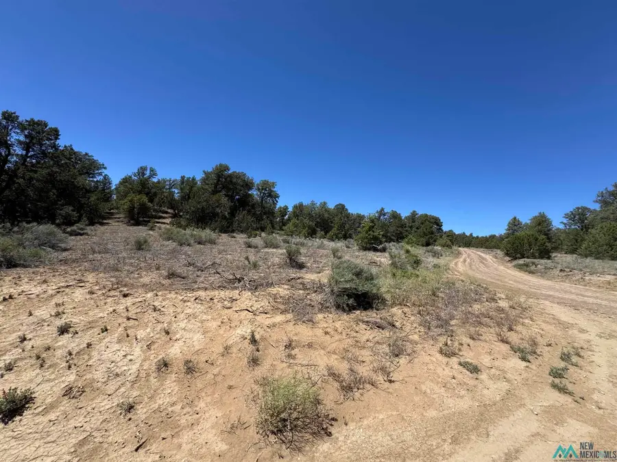 62 Old Well, Candy Kitchen, NM 87321 - #2