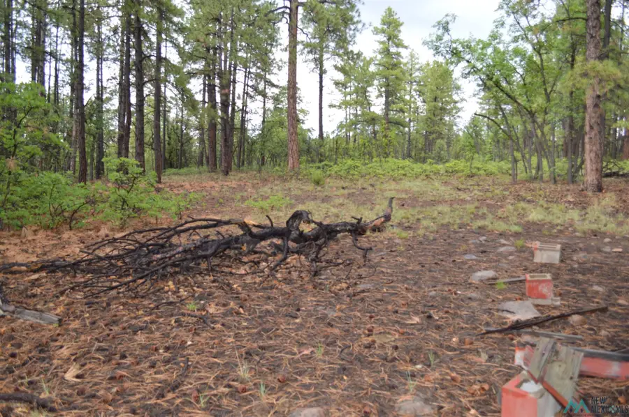 23 Forest 157, Ramah, NM 87321 - #3