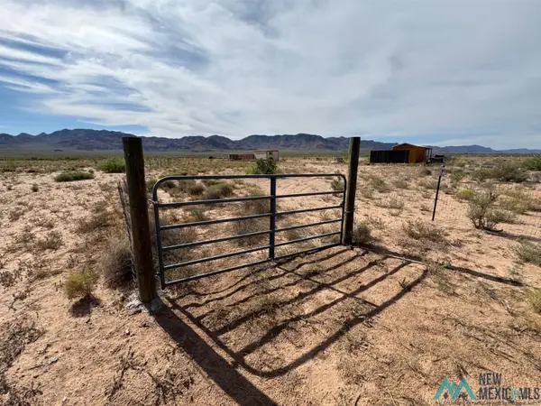 Buckaroo, Rodeo, NM 88056
