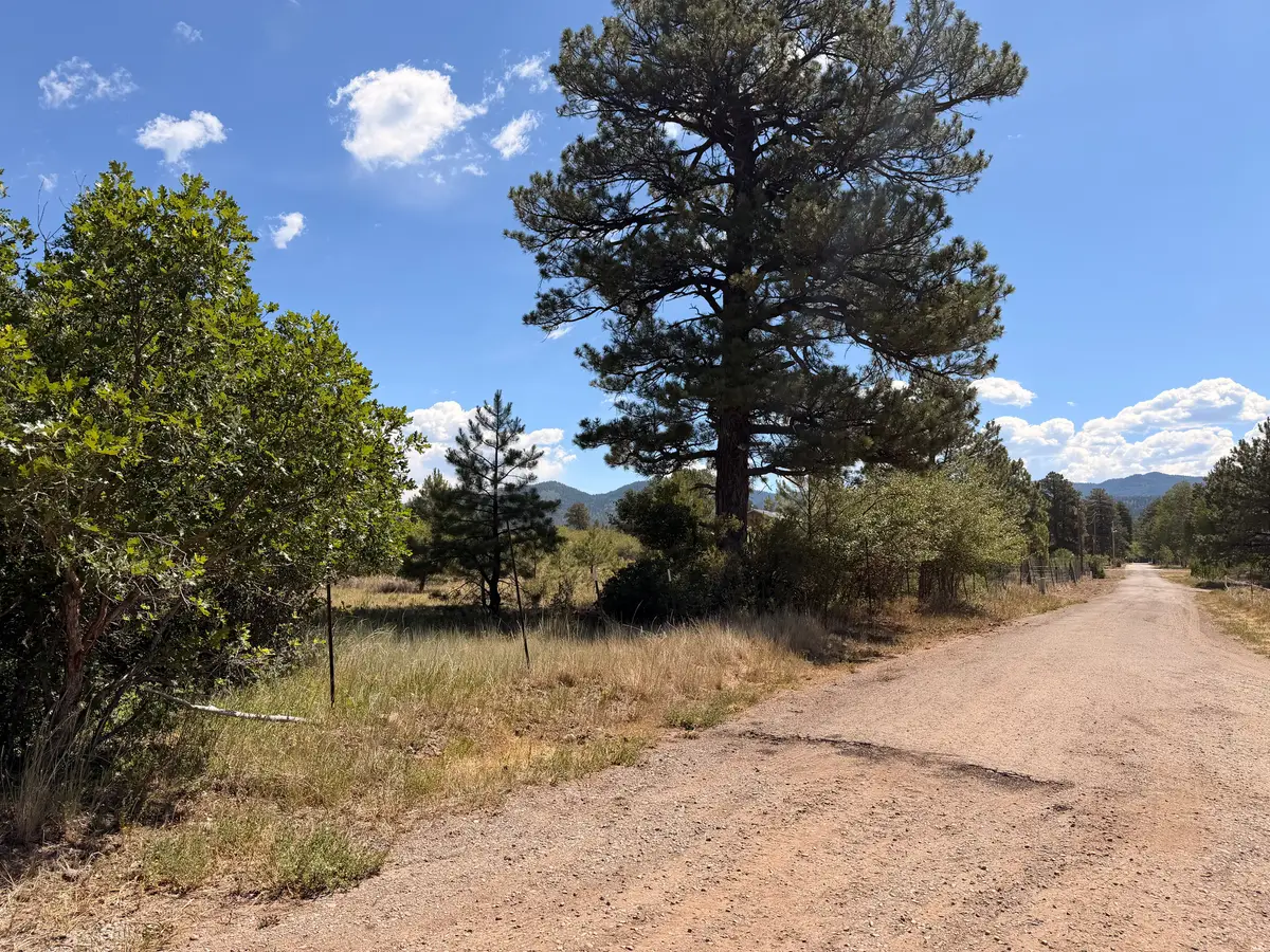 857 3rd St, Chama, NM 87520 - #1