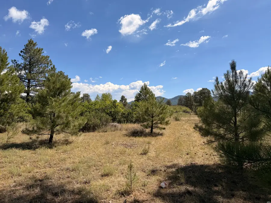 857 3rd St, Chama, NM 87520 - #3