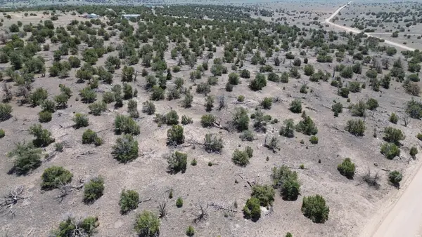 0 Omega Rd, Omega, NM 87829