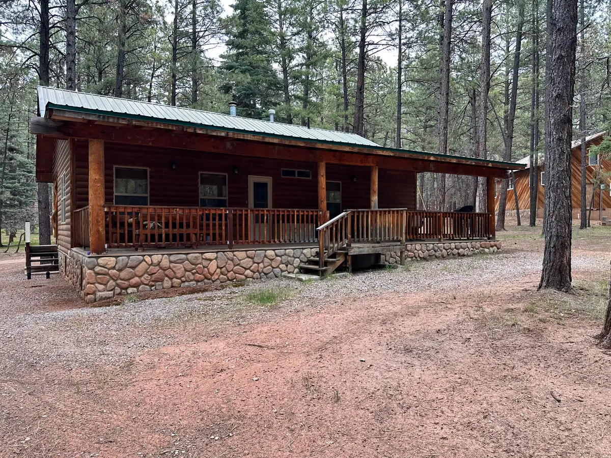 34 Tall Pine Hwy, Chama, NM 87520 - #1