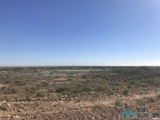 39 Chickisaw Rd Rd, Hagerman, NM 88232 - #2