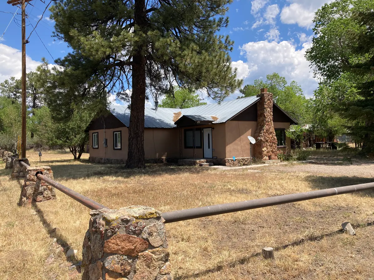 1201 Manzanita Dr, Chama, NM 87520 - #1