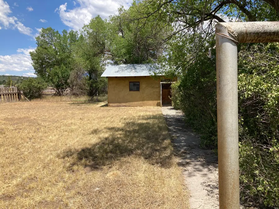 1201 Manzanita Dr, Chama, NM 87520 - #3