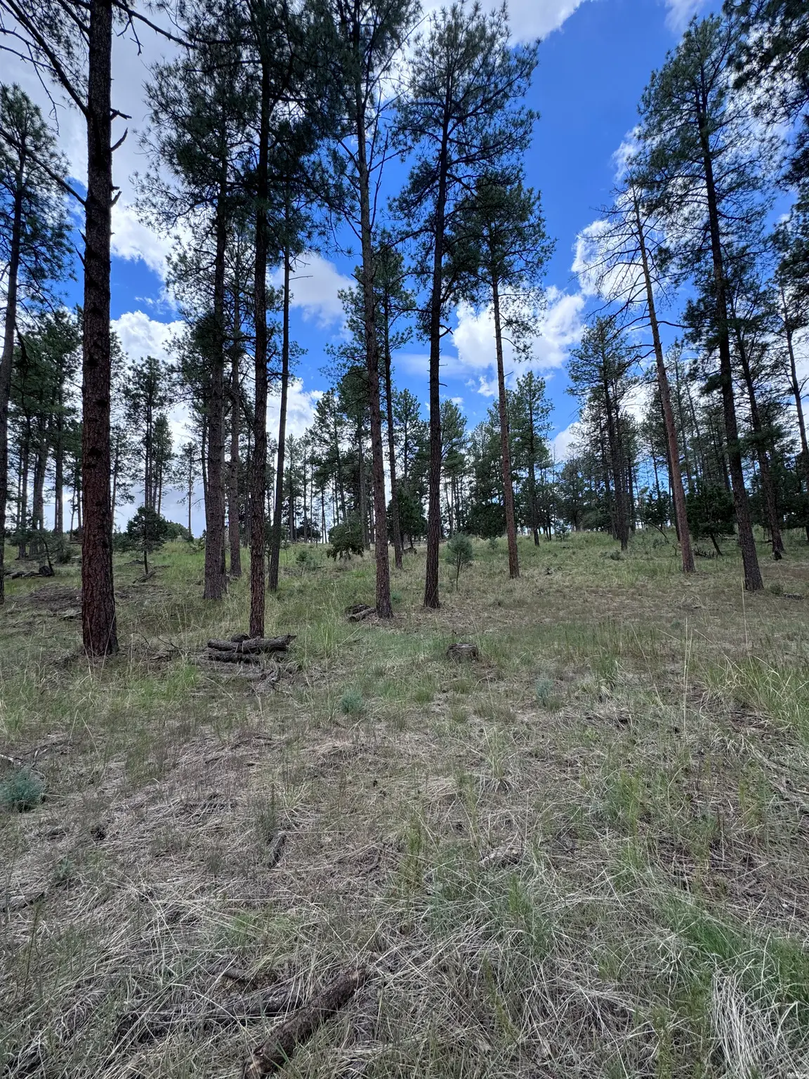 1 Paradise Vly, Timberon, NM 88350 - #1