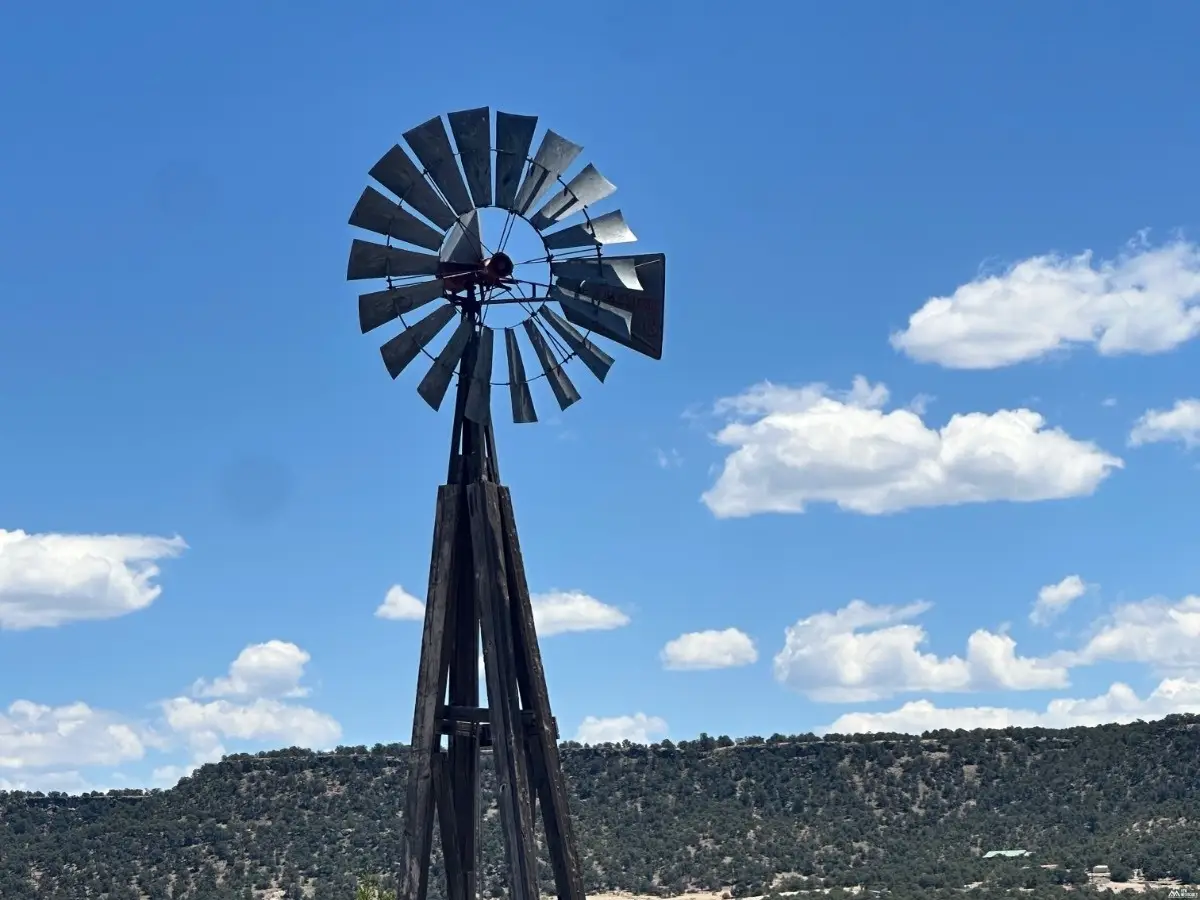 1 Cow Springs, Quemado, NM 87829 - #1
