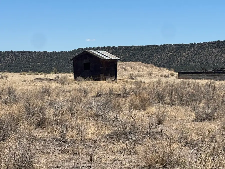 1 Cow Springs, Quemado, NM 87829 - #3