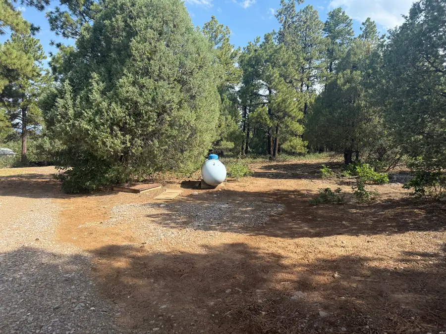 4 Crown Point Rd, Chama, NM 87520 - #3